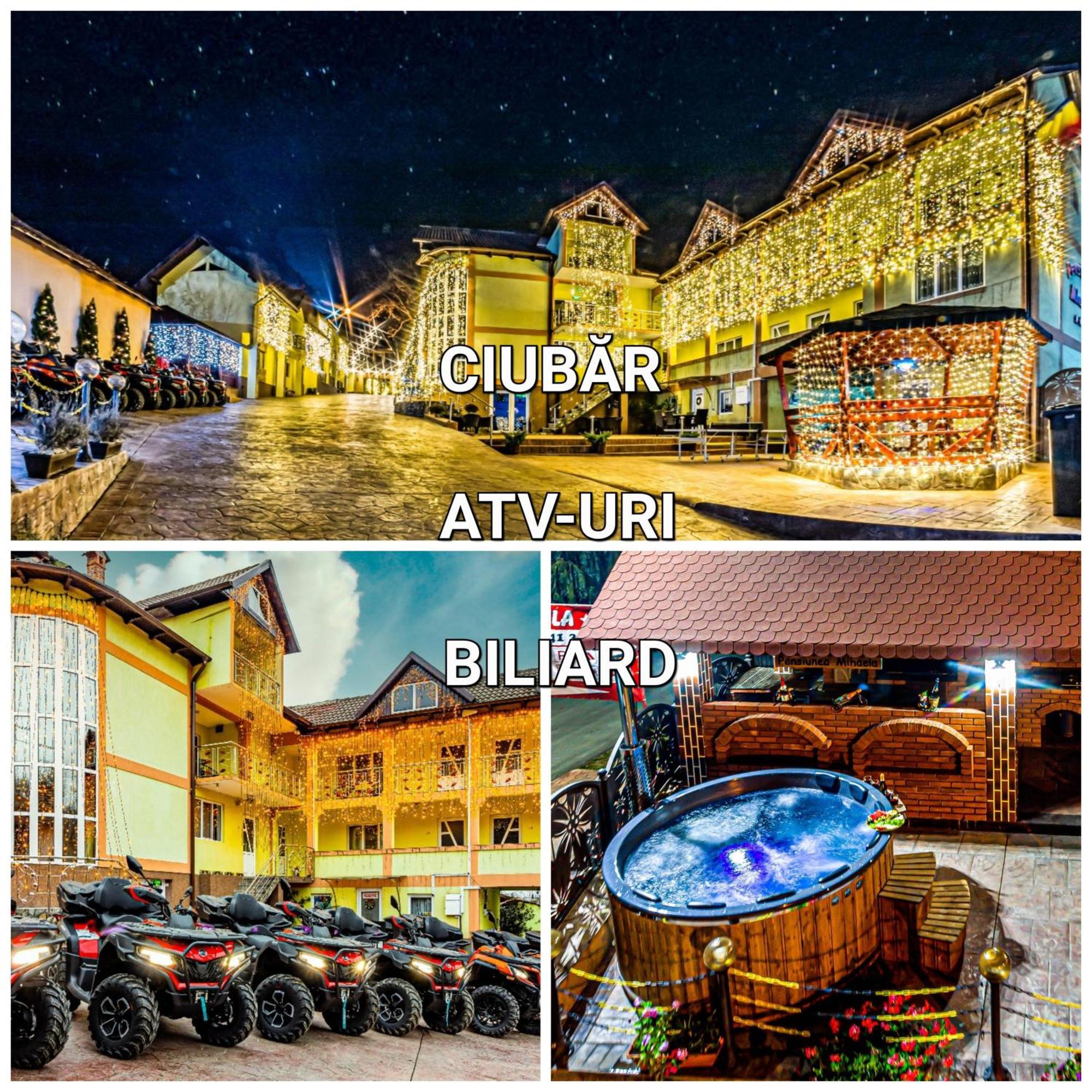 Pensiunea Mihaela-Transalpina Novaci-Străini Eksteriør bilde